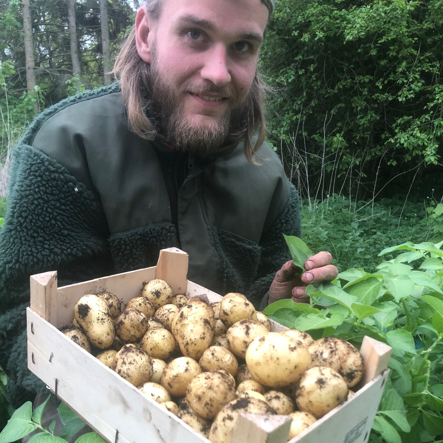 mads og kartofler